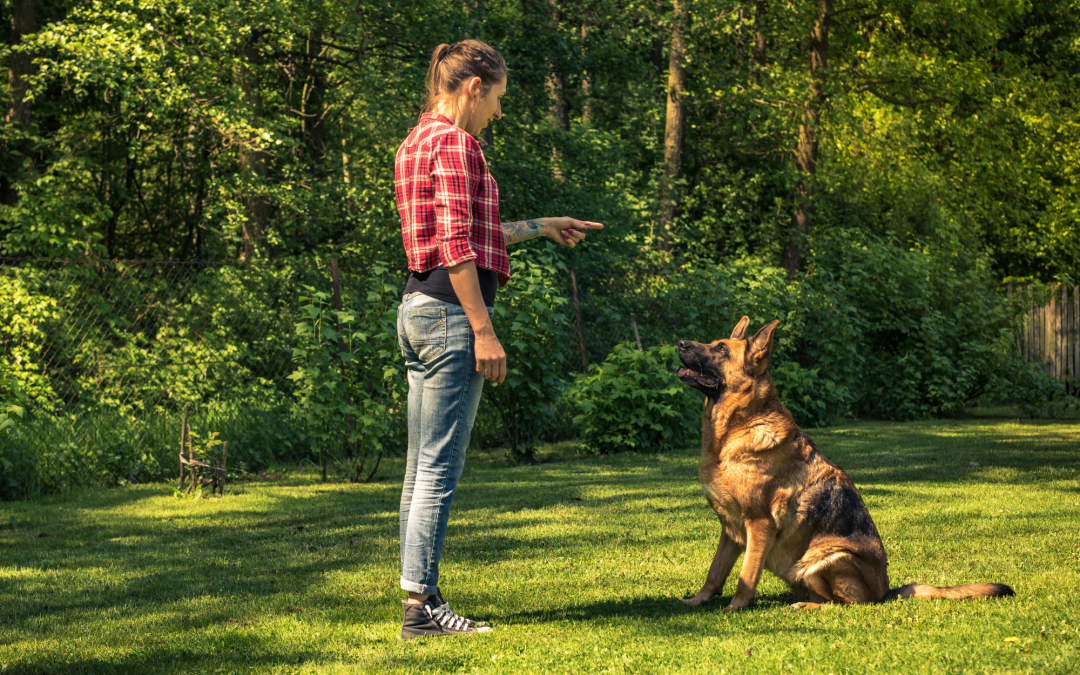 What Your Pet’s Behavior Really Means: Unraveling Their Communication